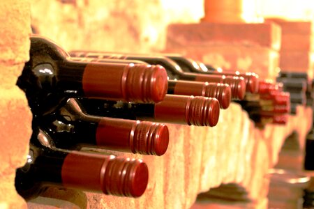 Cellar wine bottles red wine photo