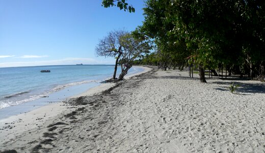 Beach the salt pans trees photo