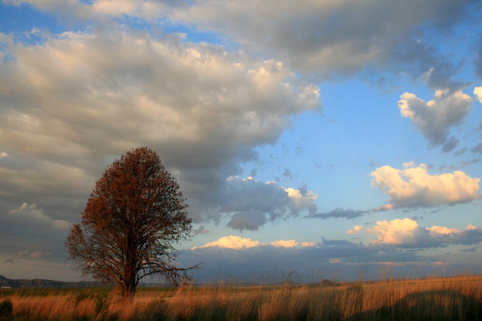Yellow ochre sky white clouds
