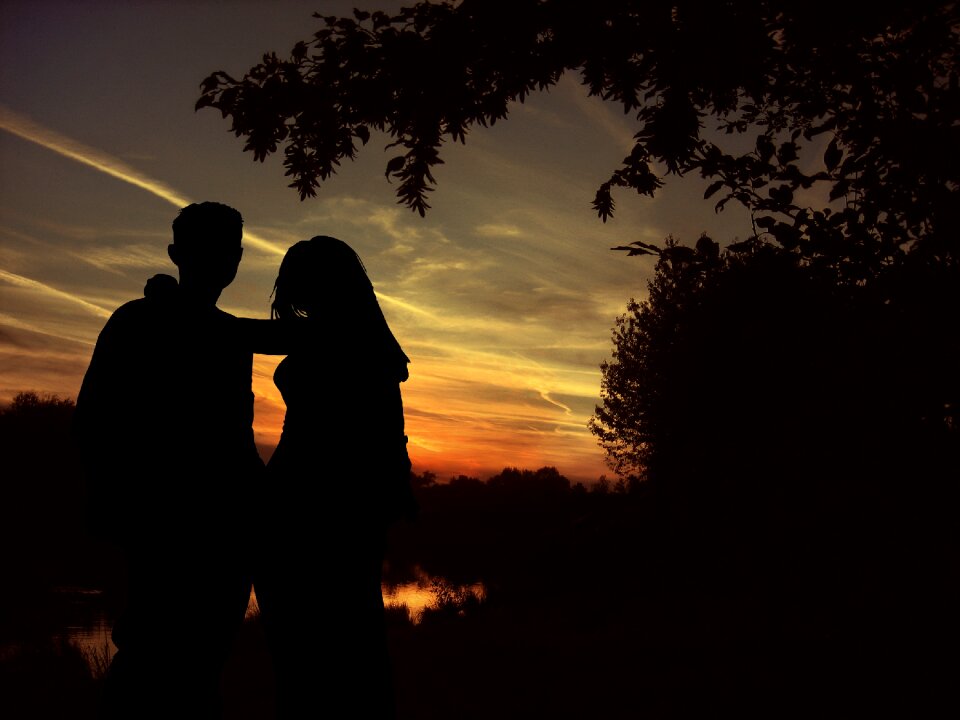 Sunset tree longing