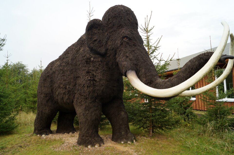 Dinosaur mammal prehistoric times