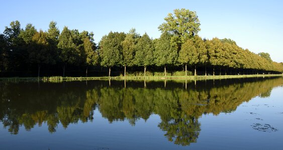 Reflection water trees photo