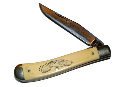 Scrimshaw trout fish
