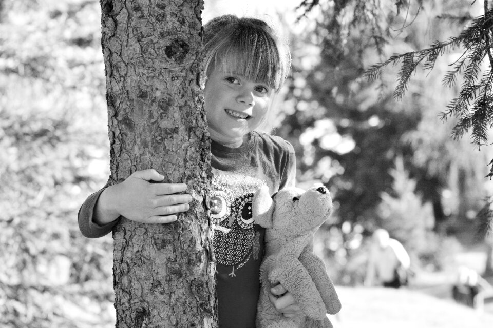 Forest teddy bear nature