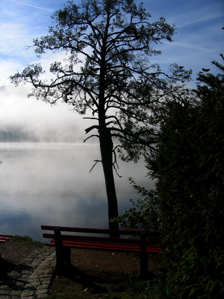 Rest seclusion black forest