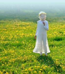 Spring yellow serenity