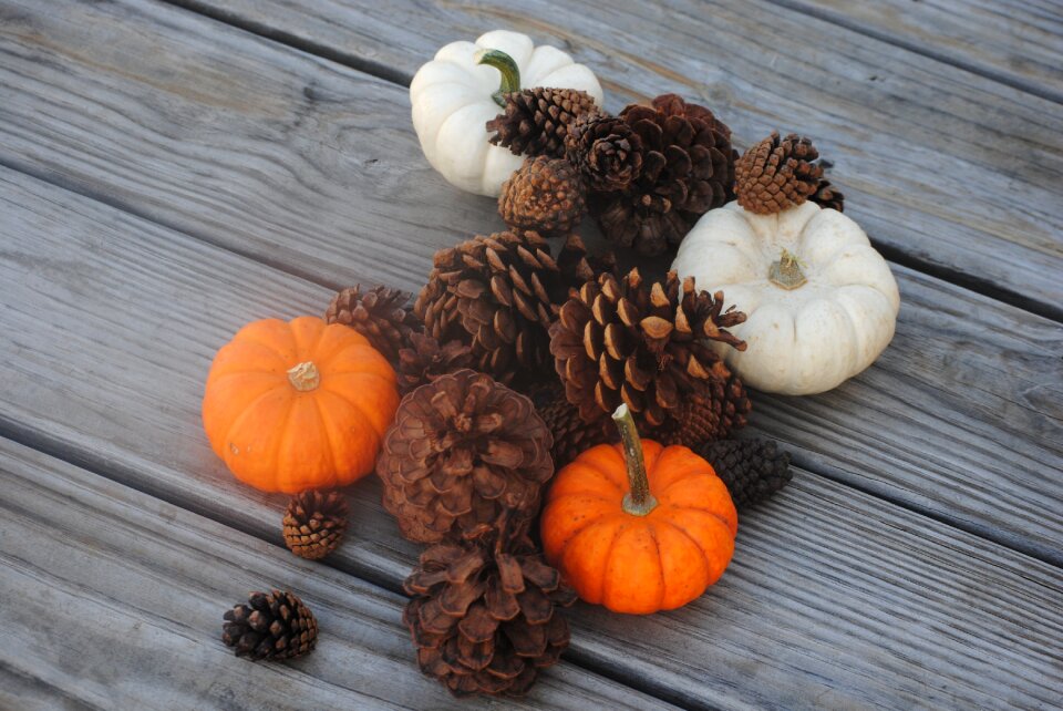Autumn thanksgiving season