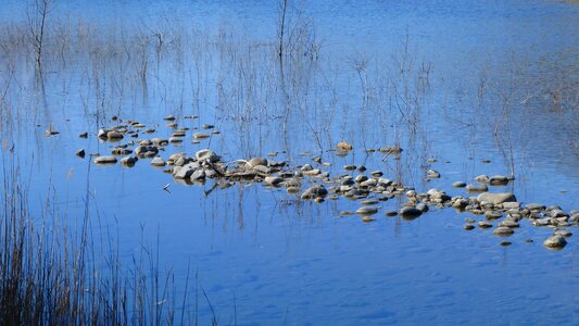 Lakes pebble reeds