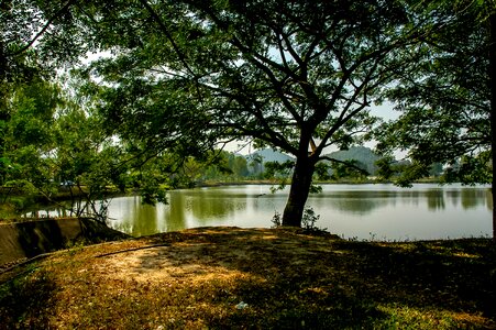 Lake trees bank photo