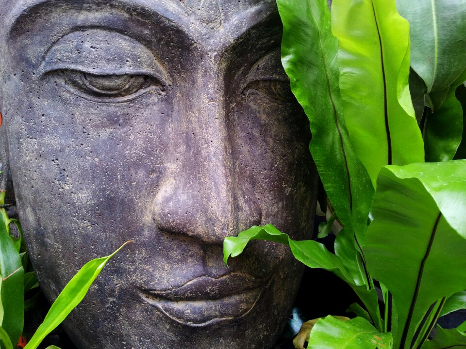 Tranquility serenity art