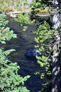 Nature wyoming travel