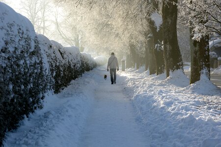 Person human wintry photo