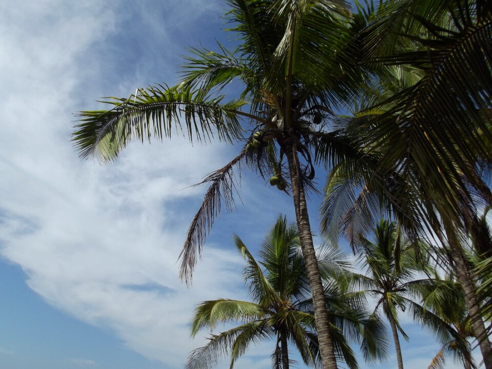 Clouds vacation blue