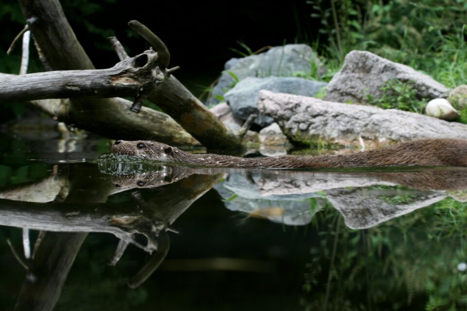 Water holiday france