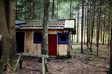 Forest lodge old neglected photo