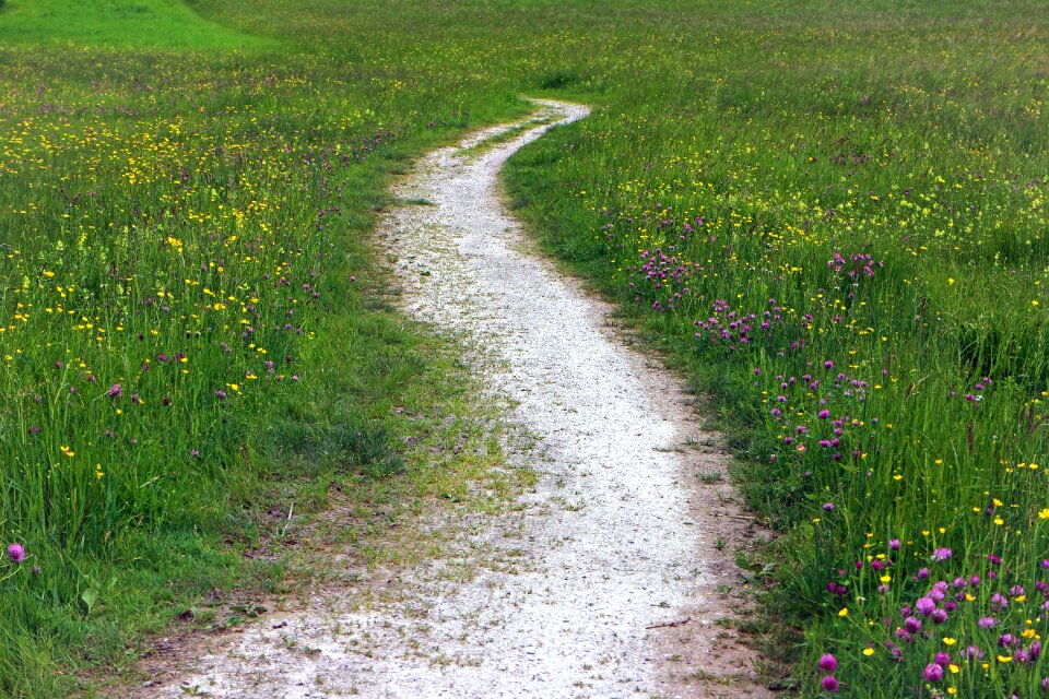 Nature promenade nature trail