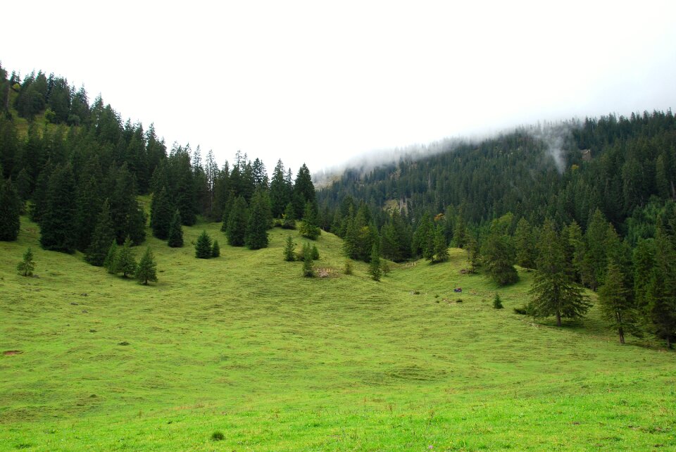Nature landscape pasture