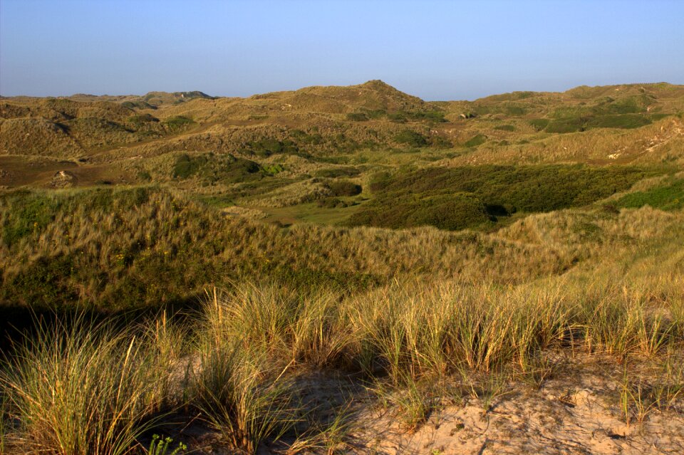 Dunes landscape cornwall