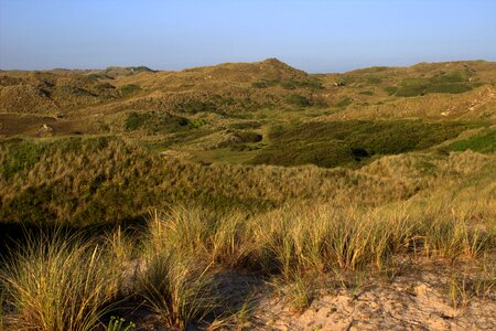 Dunes landscape cornwall