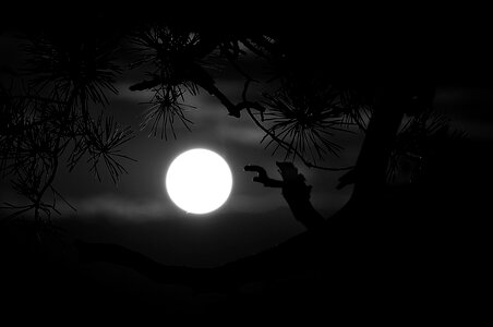 Moon night black and white photo