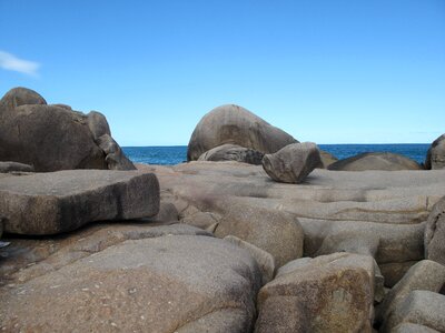 Coastline rocky shore line ecology