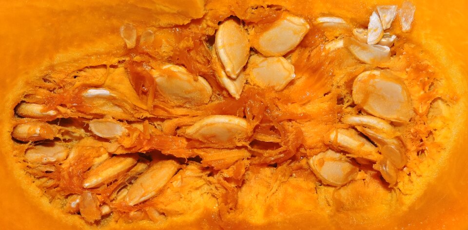Pumpkin inside yellow