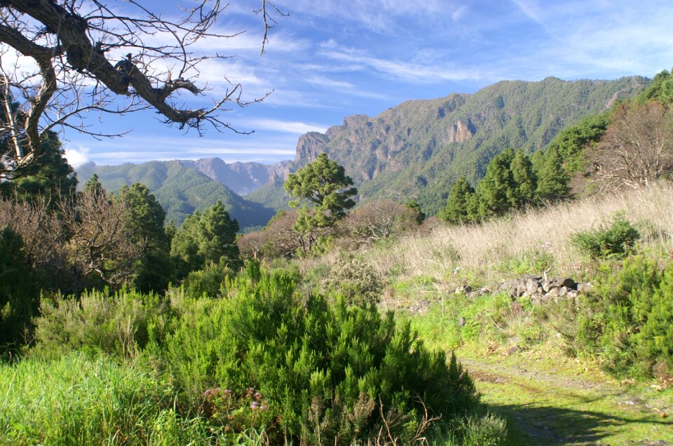 Nature hiking canary islands