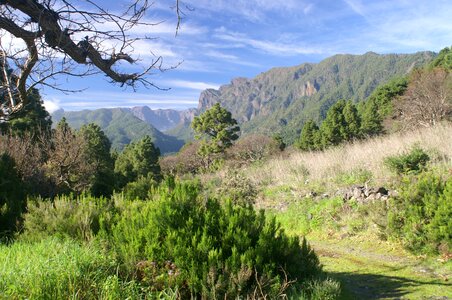 Nature hiking canary islands photo