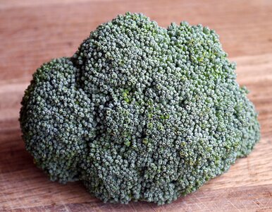 Healthy brocoli ingredient photo