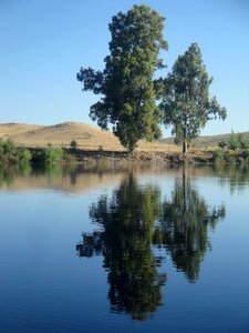 Reflection nature grassland