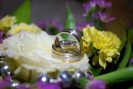 Trust marry rings