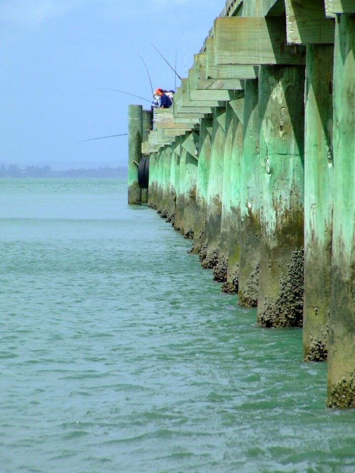 Fishing pier fishers