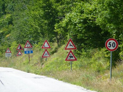 Warning information traffic sign jungle photo