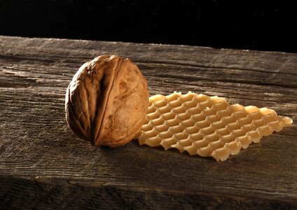 Honeycomb wood still life