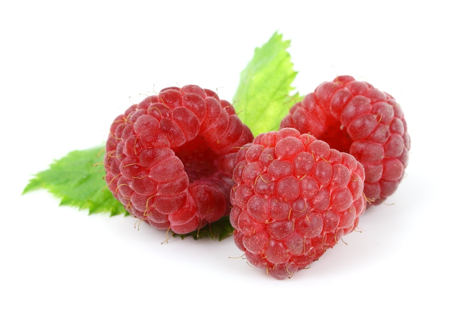 Fruit healthy isolated