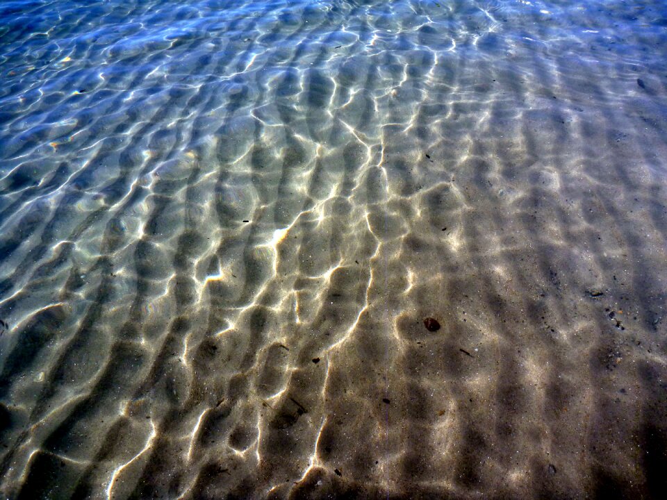 Beach sun summer photo