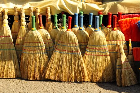 Polish macedonia broom
