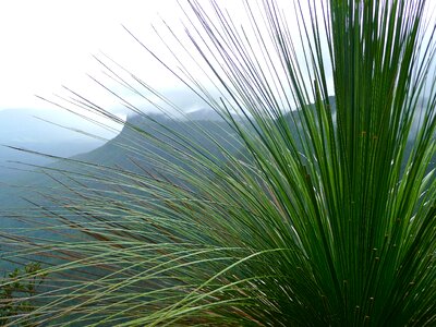 Mist mountain landscape photo