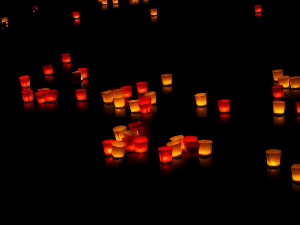Festival of lights lights serenade ulm