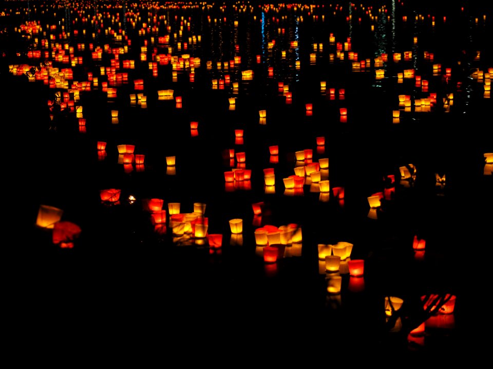 Festival of lights lights serenade ulm