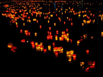 Festival of lights lights serenade ulm