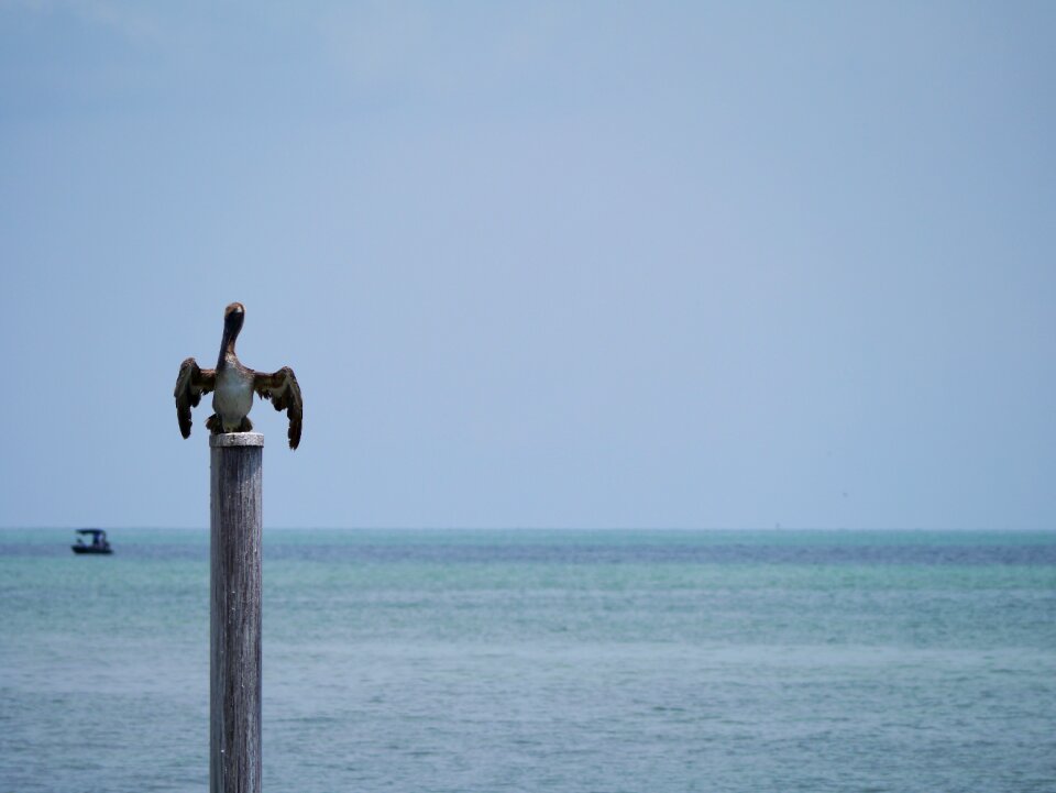 Key west water coast