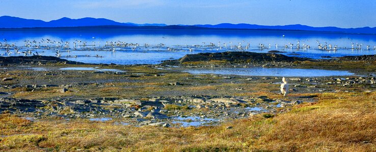 River rocks horizon photo