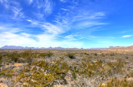 Desert landscape wilderness
