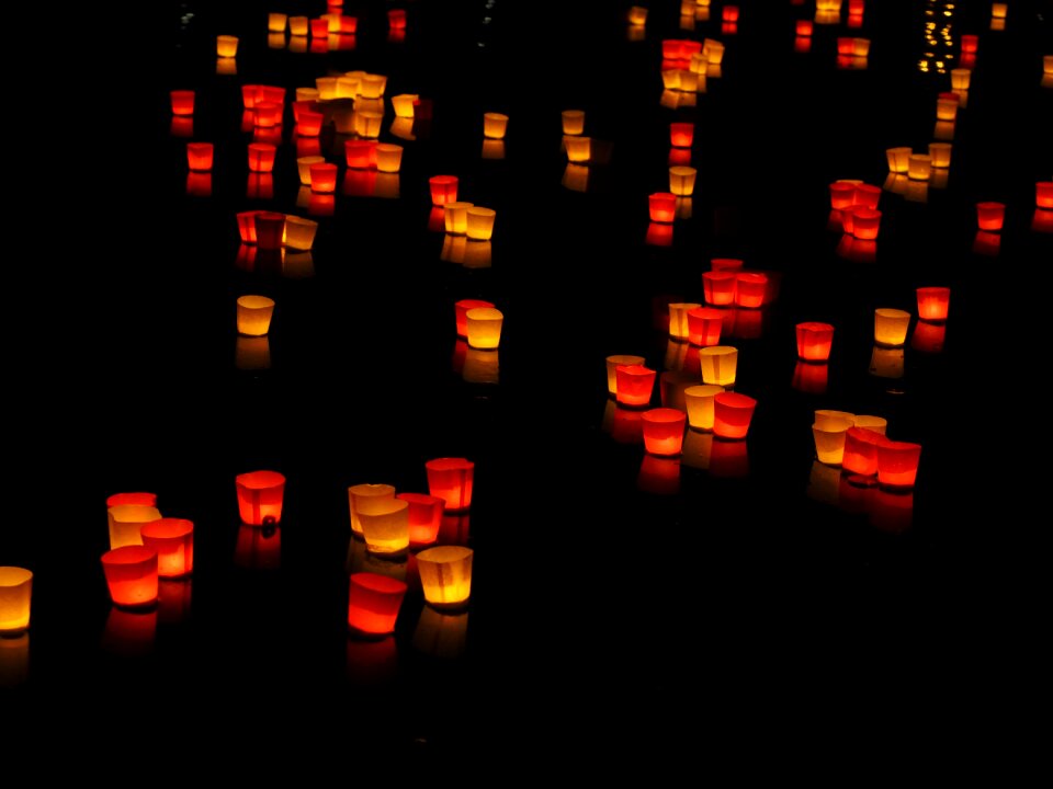 Festival of lights lights serenade ulm