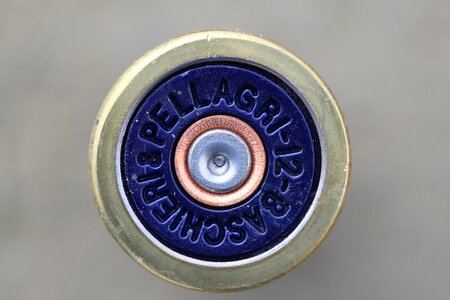 Shoot hunting rifle
