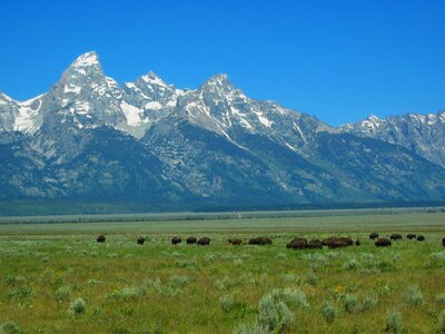 Scenic buffalo mountains photo