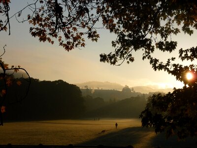 Baden baden autumn lichtentaler allee