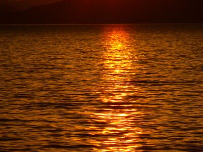 Vízfodor aranyhíd lake balaton photo
