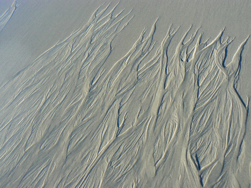Art coast sea